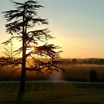 Chateau Du Tertre 4* Arsac