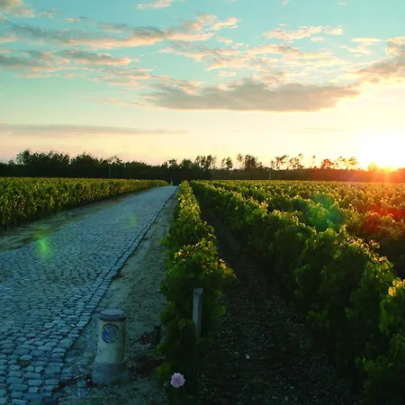 Chateau Du Tertre 4*