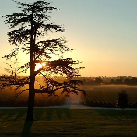 Chateau Du Tertre 4* Arsac