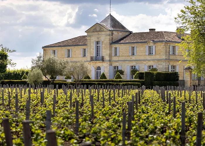 Guest house Chateau Du Tertre 4*