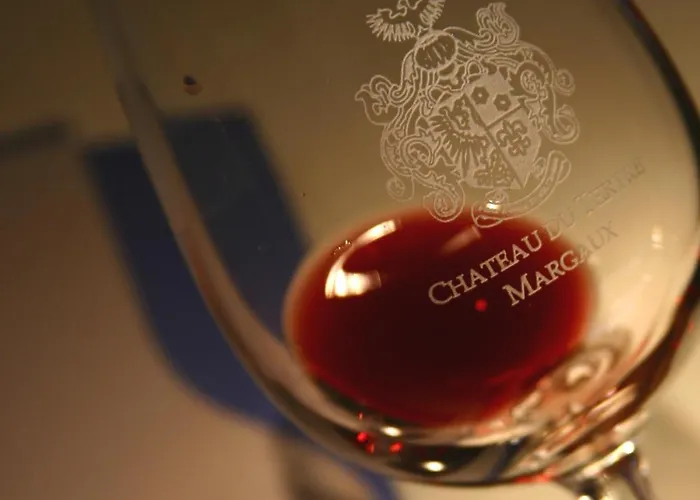 Gasthuis Chateau Du Tertre 4*