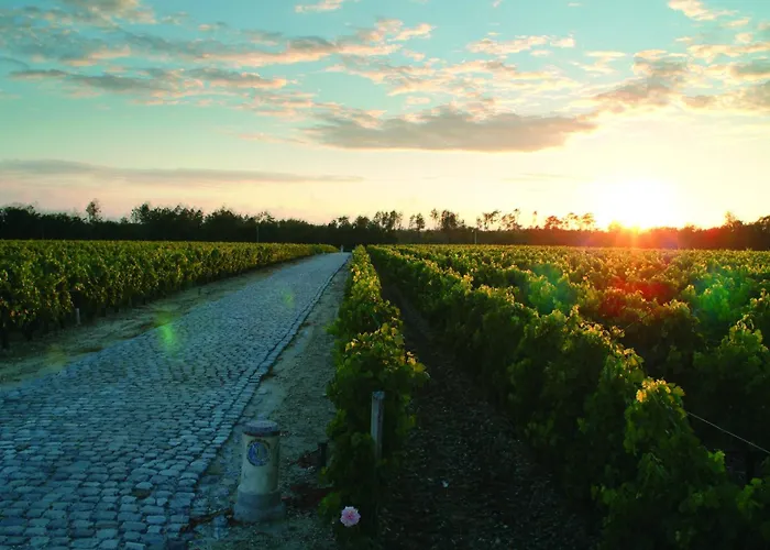 Chateau Du Tertre 4*