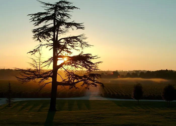 Chateau Du Tertre 4* Arsac