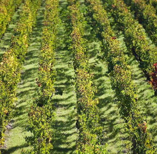 Chateau Du Tertre Guest house 4*